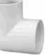 Female Elbow