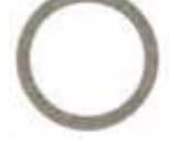 Genuine Delany Parts - Coupling Washer