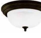 Oil Rubbed Bronze 1-Light Ceiling Fixture