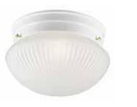 White Frosted Opal Ceiling Fixture