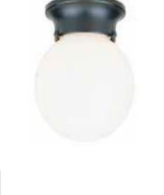 Black Globe Outdoor Ceiling Fixture
