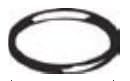 Rubber Slip Joint Washers