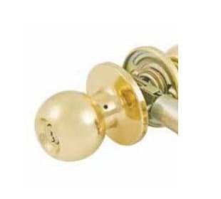Chestnut Hill Series Round Ball Knob