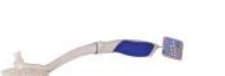 Large Oval Head Dish Brush