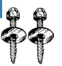 Toilet Bolts - Closet Screws – Brass Plated