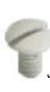 Wallplate Screws