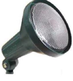JWHL2 Cast Aluminum PAR38 Flood Light