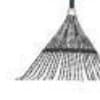Leaf Rakes